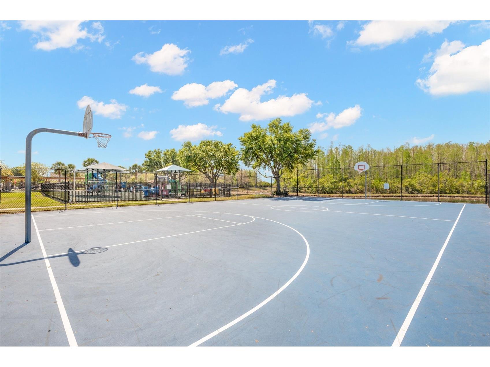 18928 Hampstead Heath Court Land O Lakes FL 34638 TB8502575 image44