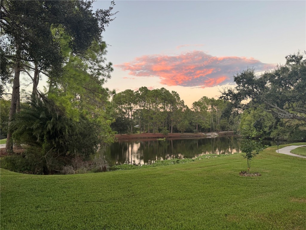 18928 Place Marquette Lutz FL 33558 TB8421970 image23