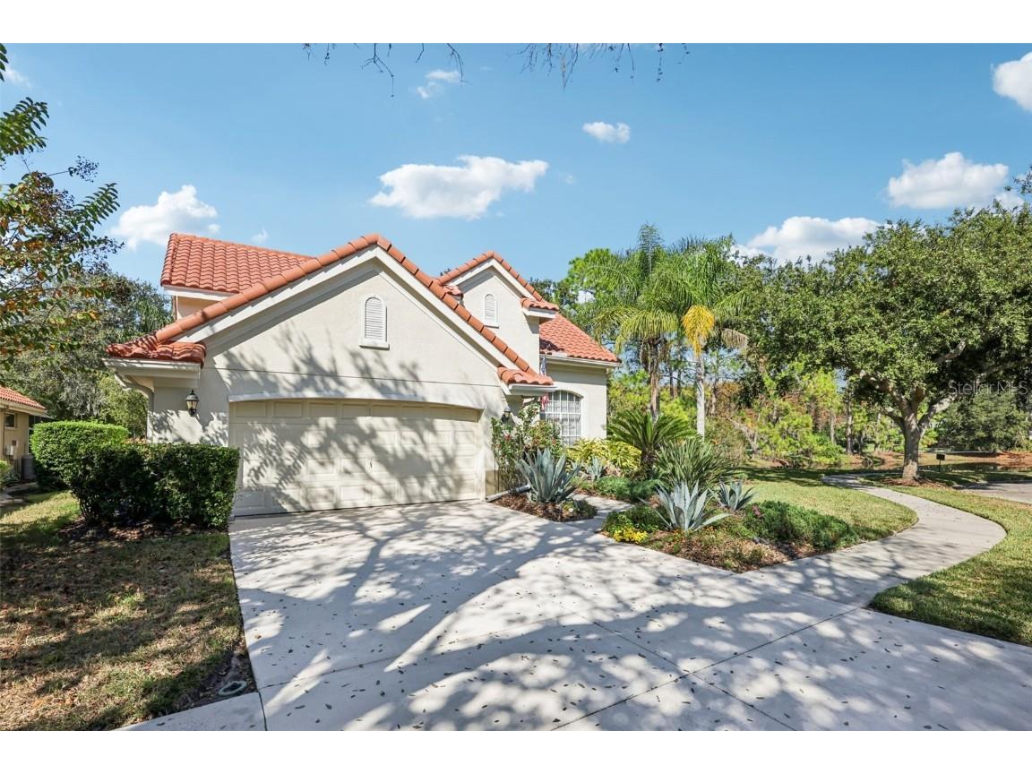 18928 Place Marquette Lutz FL 33558 TB8421970 image25