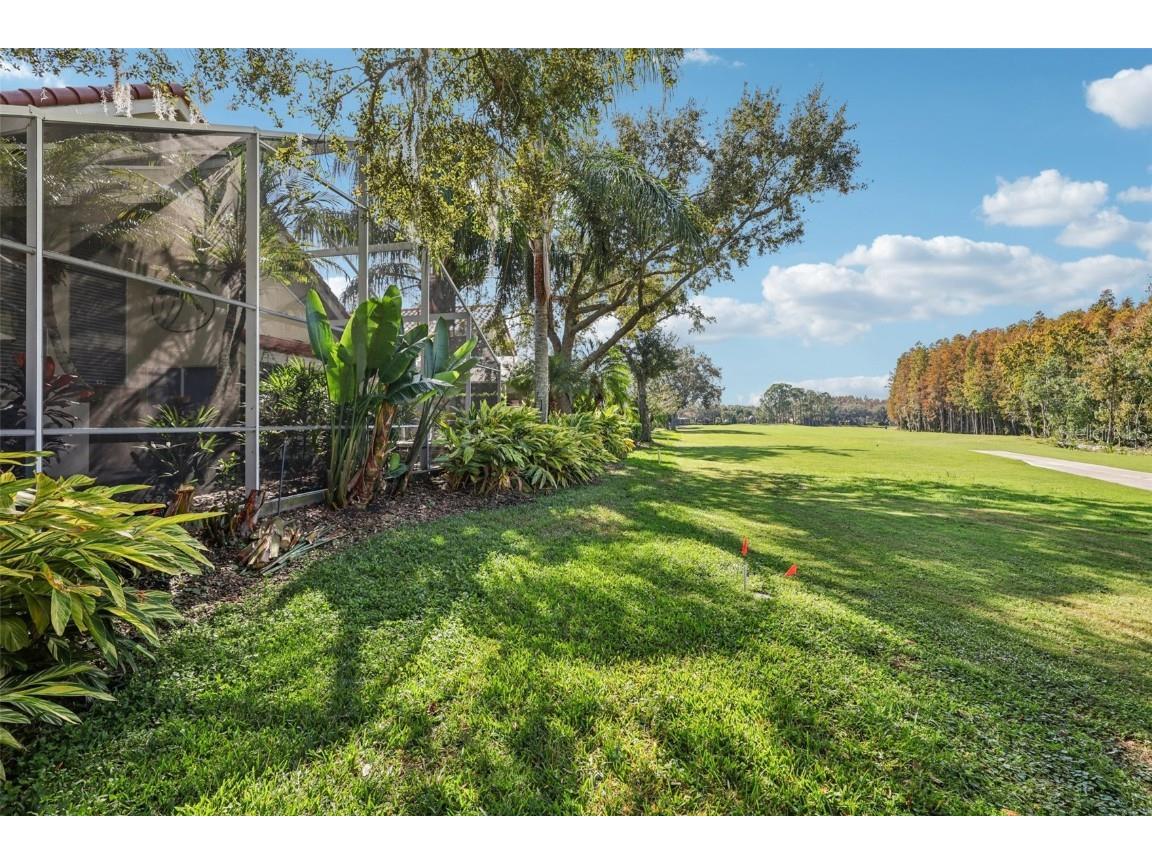 18928 Place Marquette Lutz FL 33558 TB8421970 image28