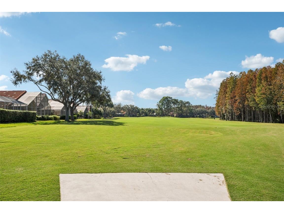 18928 Place Marquette Lutz FL 33558 TB8421970 image29