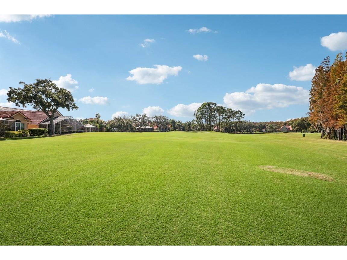 18928 Place Marquette Lutz FL 33558 TB8421970 image30