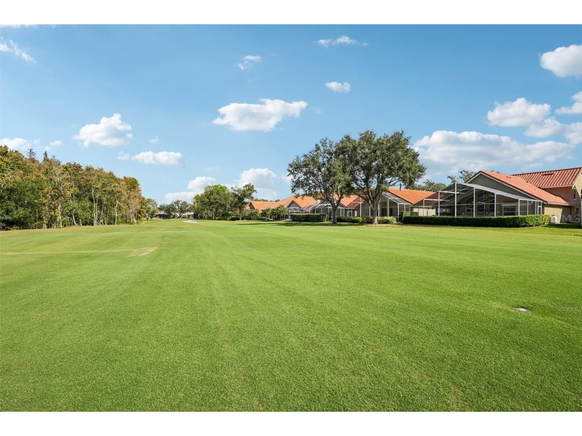 18928 Place Marquette Lutz FL 33558 TB8421970 image31