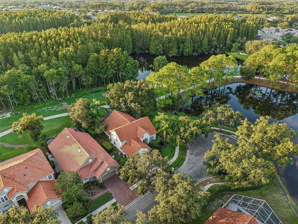 18928 Place Marquette Lutz FL 33558 TB8421970 image32