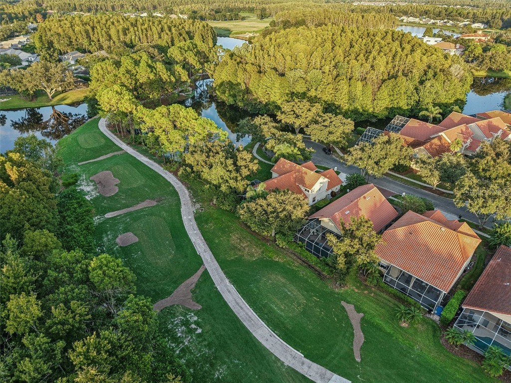 18928 Place Marquette Lutz FL 33558 TB8421970 image33