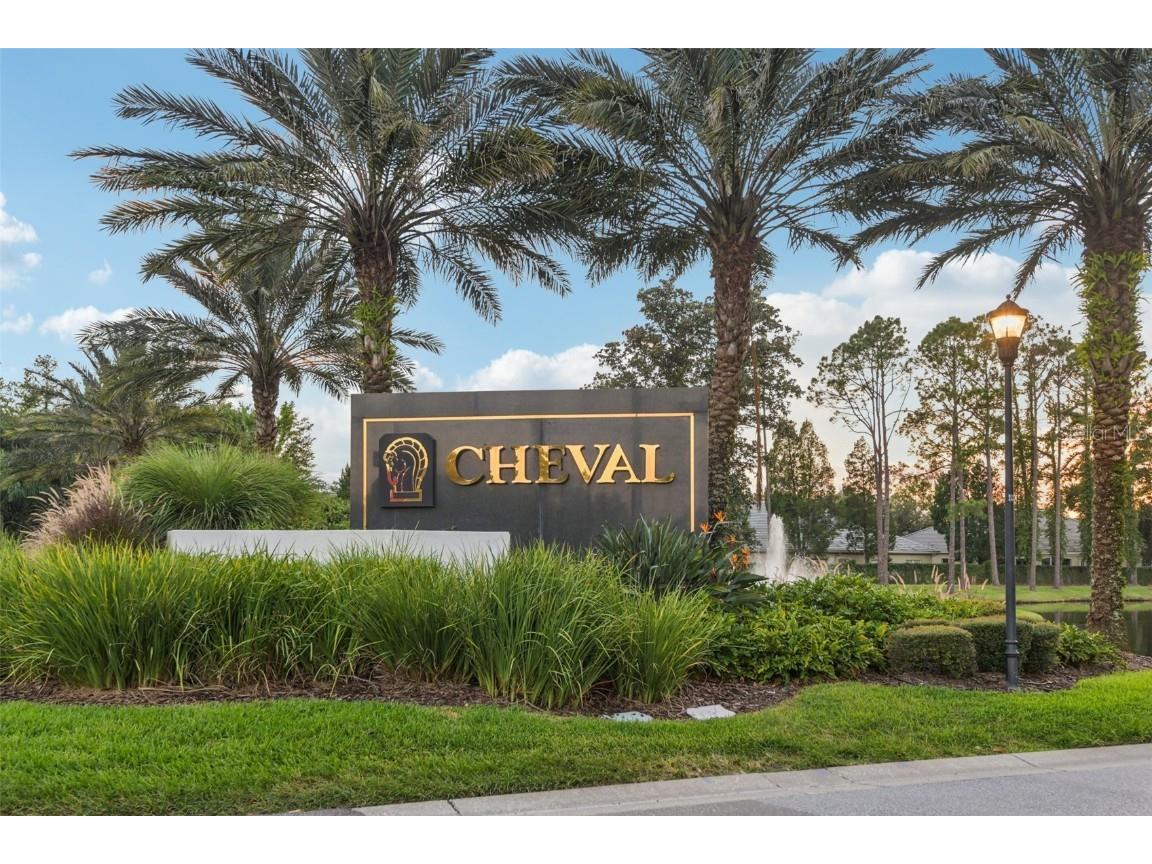 18928 Place Marquette Lutz FL 33558 TB8421970 image34