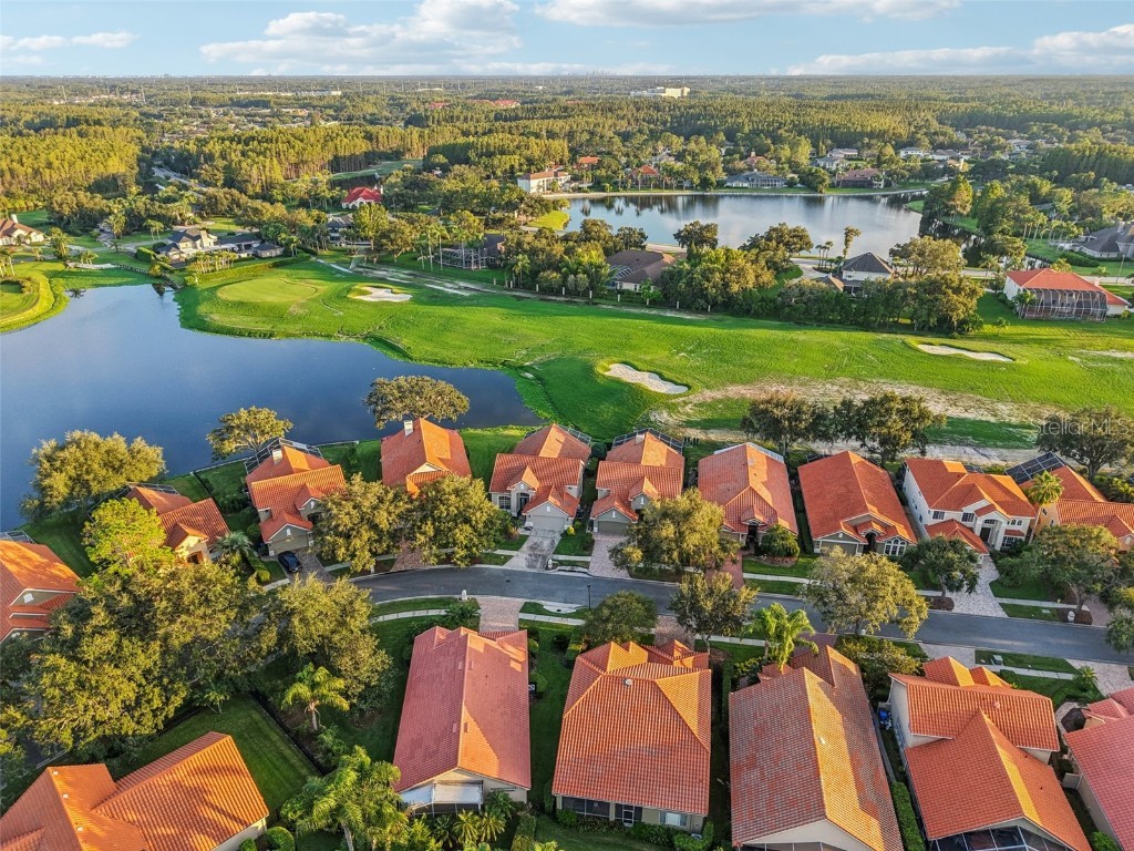 18928 Place Marquette Lutz FL 33558 TB8421970 image38