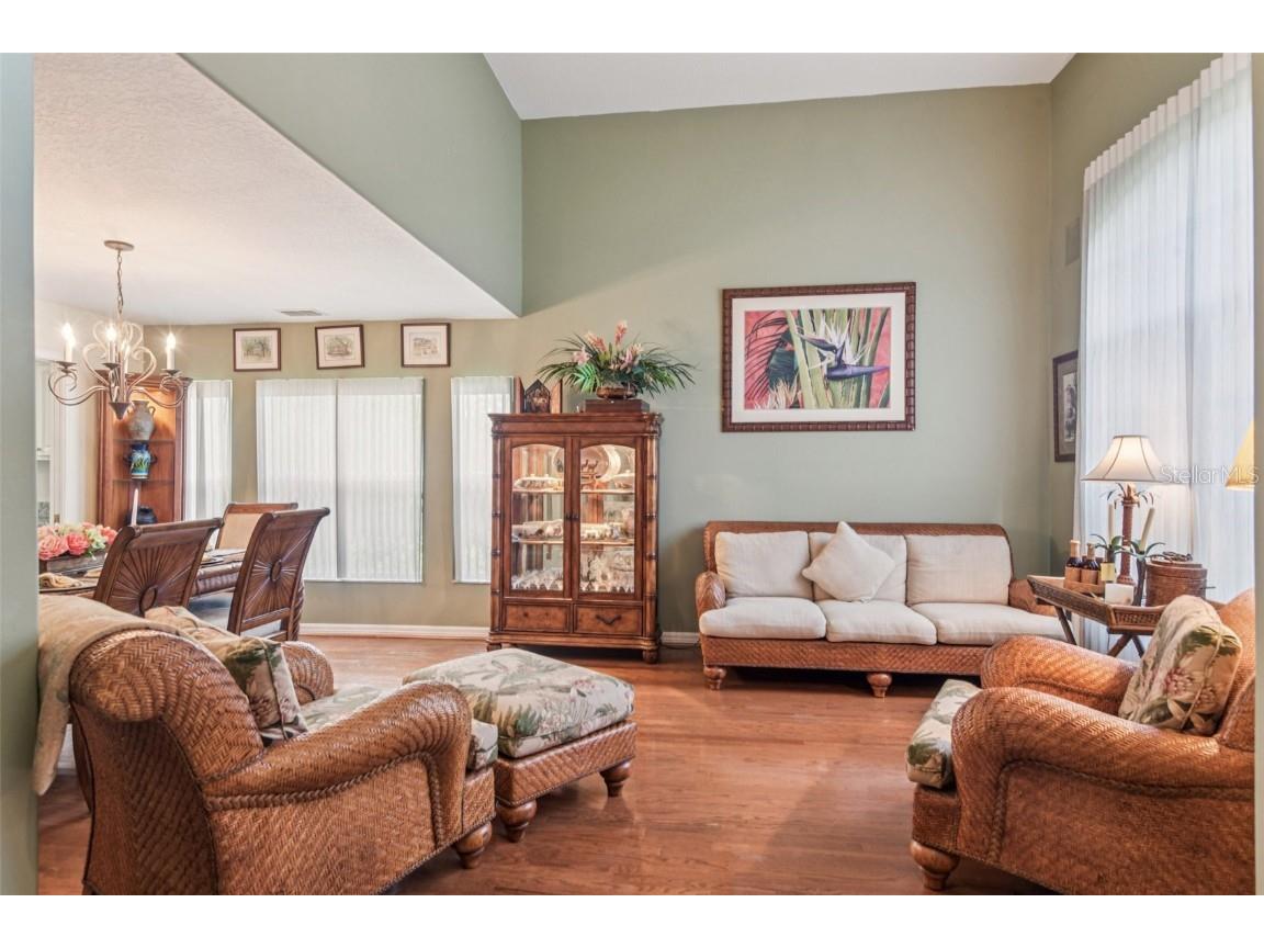 18928 Place Marquette Lutz FL 33558 TB8421970 image4