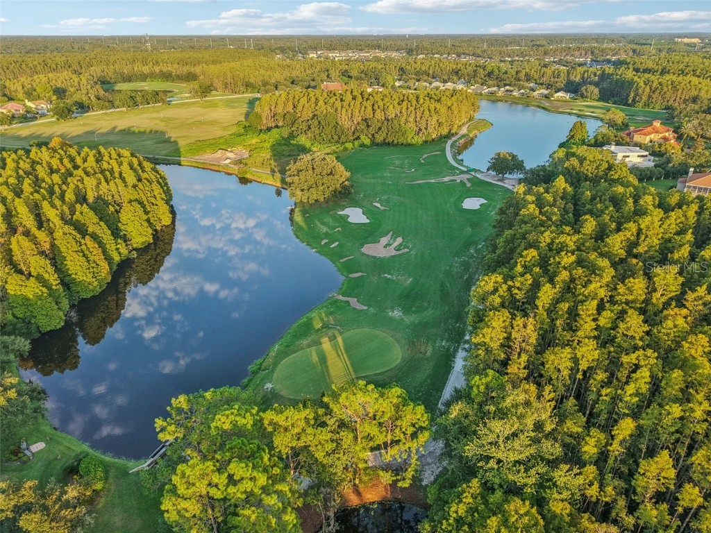 18928 Place Marquette Lutz FL 33558 TB8421970 image40