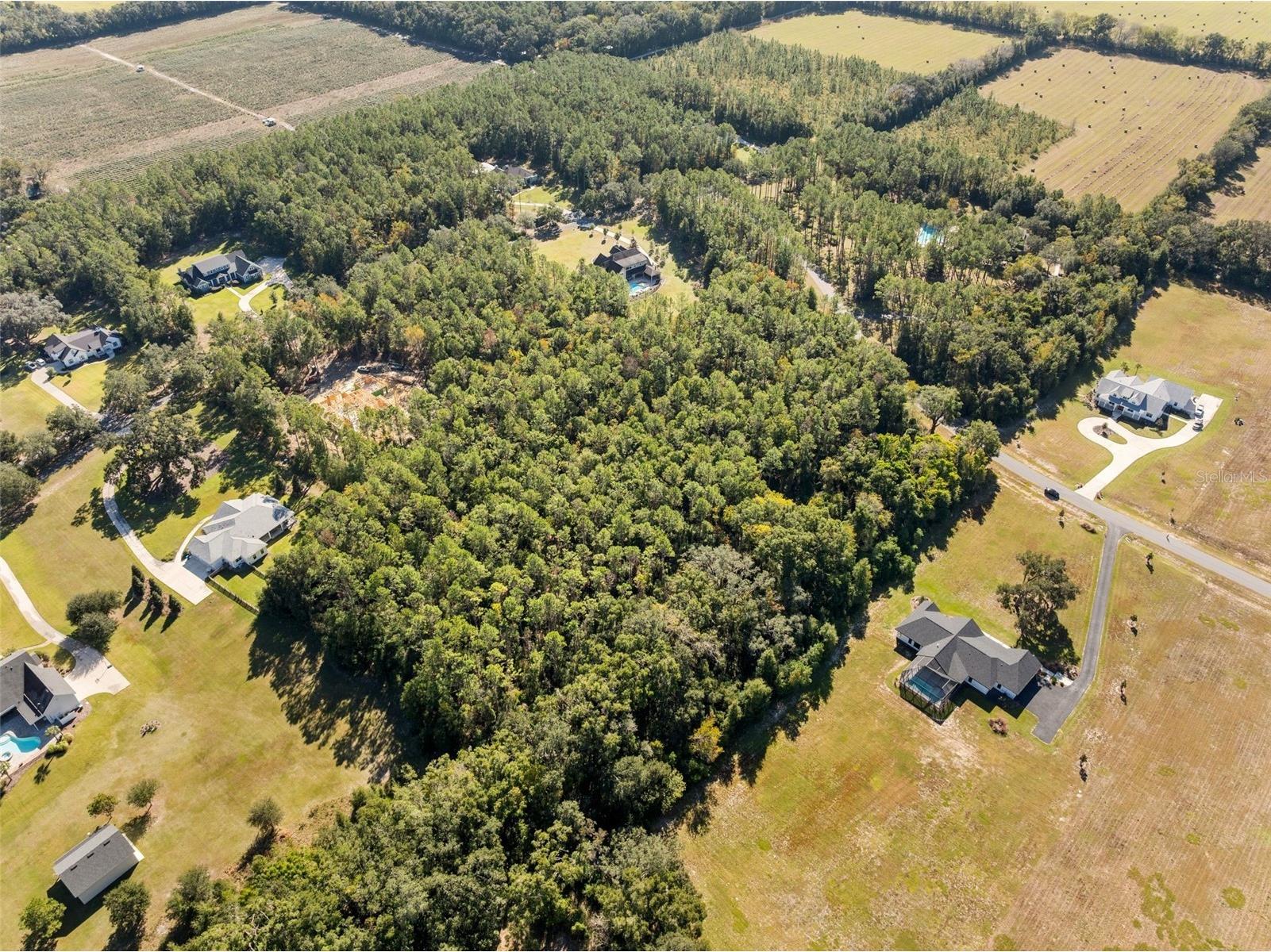 18928 SW 21st Place Newberry FL 32669 GC535432 image9