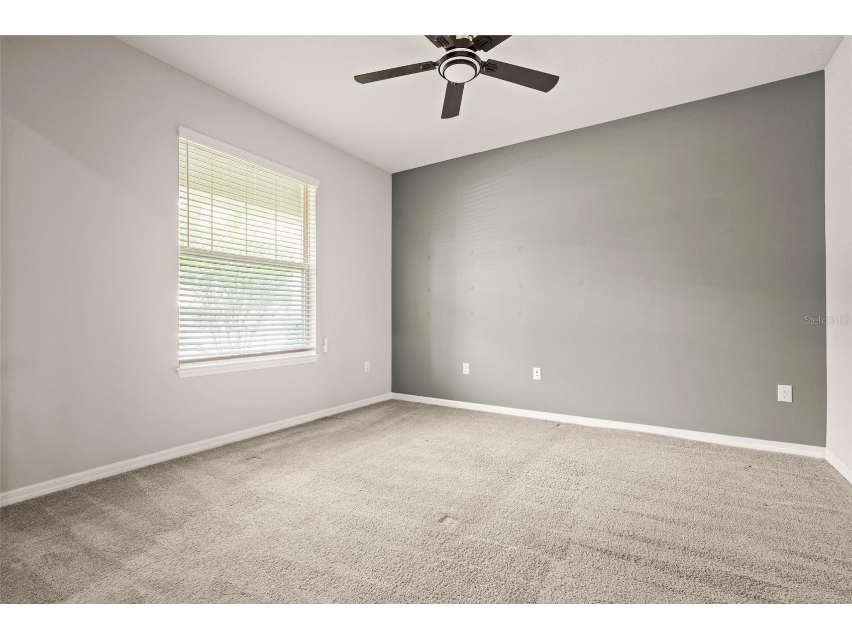 18929 Birchwood Groves Drive Lutz FL 33558 TB8510102 image15