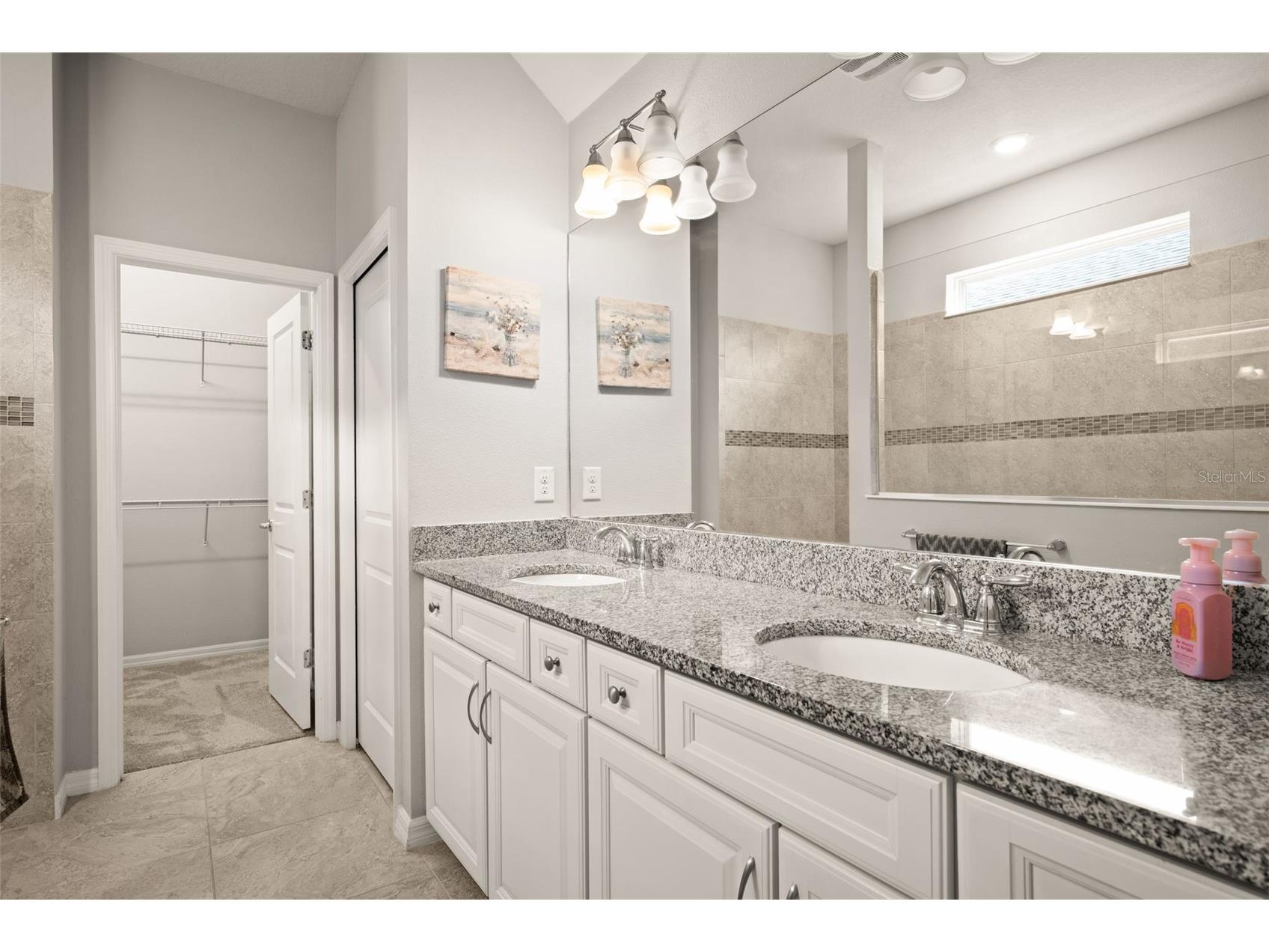 18929 Birchwood Groves Drive Lutz FL 33558 TB8510102 image17