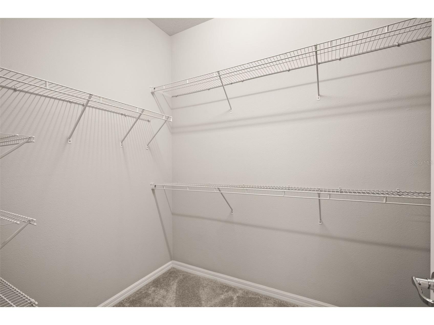 18929 Birchwood Groves Drive Lutz FL 33558 TB8510102 image19