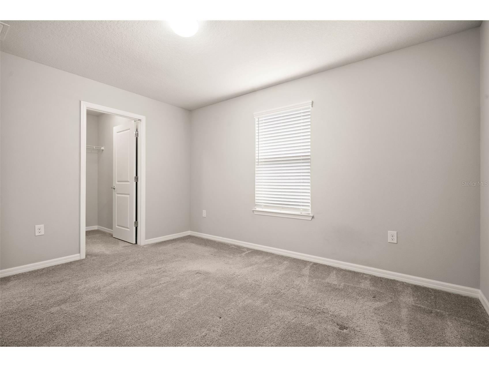 18929 Birchwood Groves Drive Lutz FL 33558 TB8510102 image22