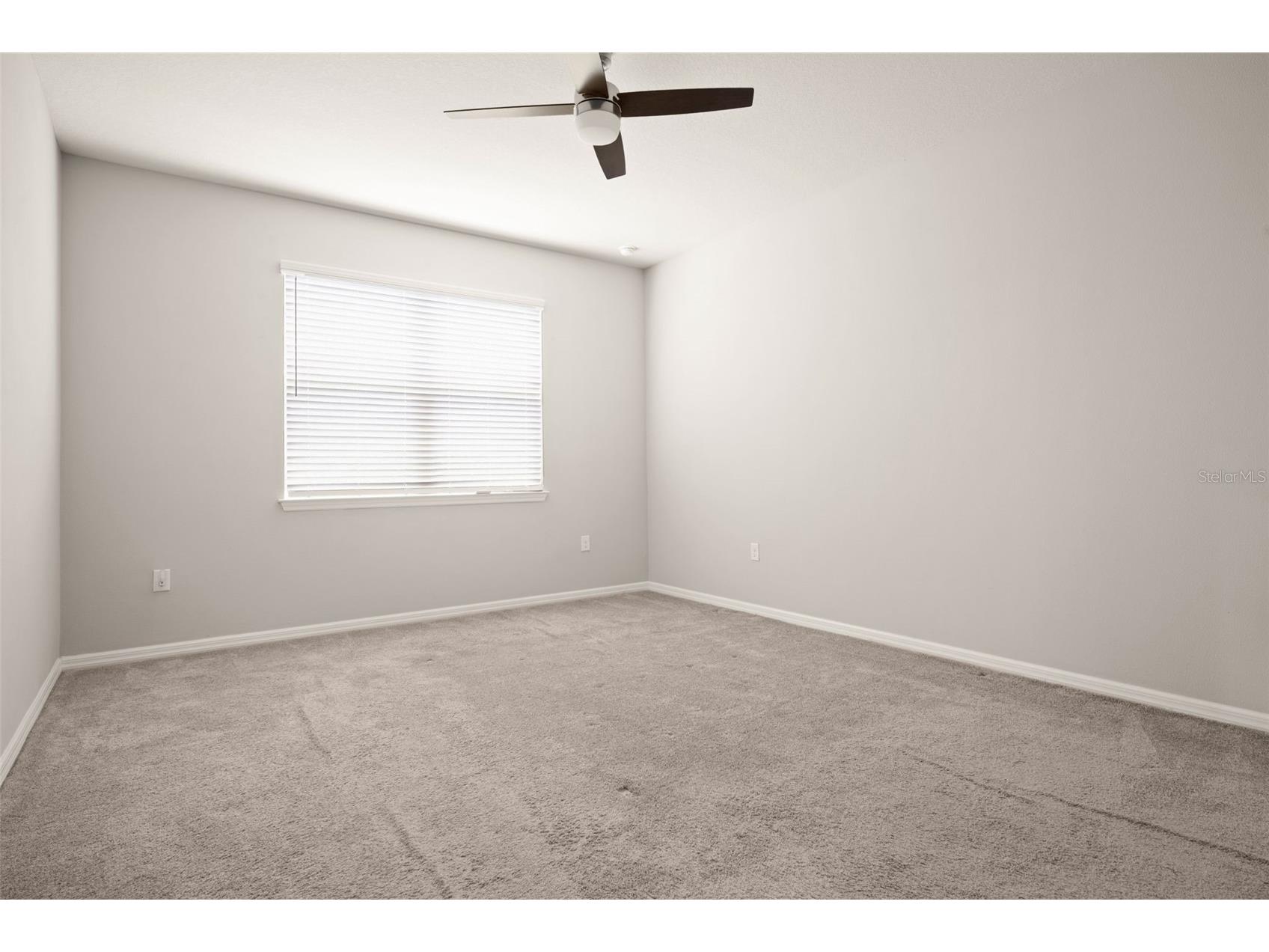 18929 Birchwood Groves Drive Lutz FL 33558 TB8510102 image25