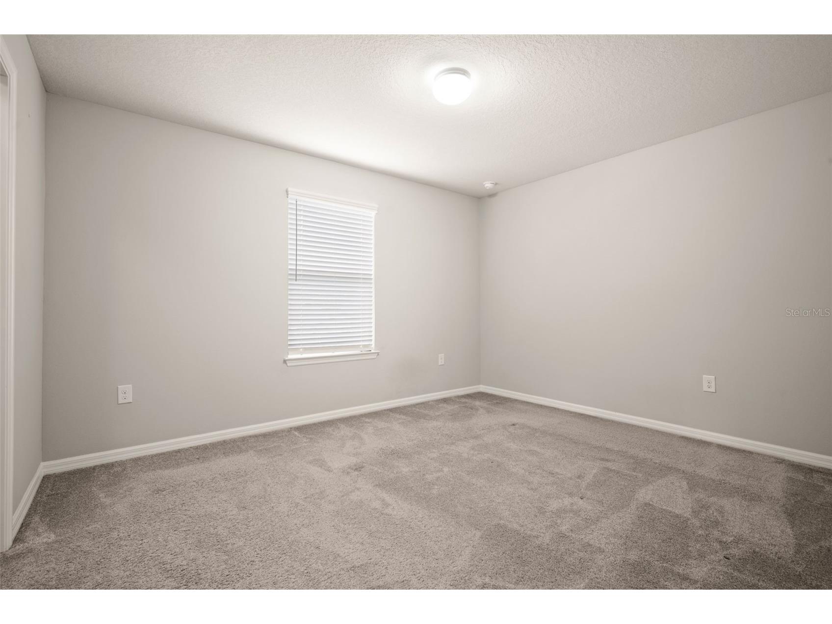 18929 Birchwood Groves Drive Lutz FL 33558 TB8510102 image26