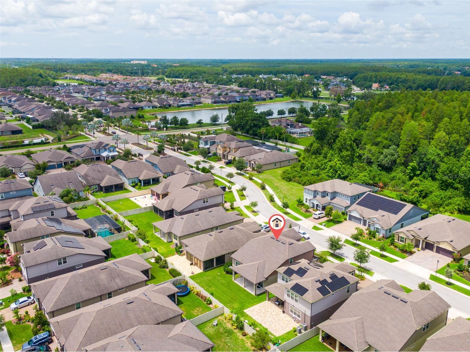 18929 Birchwood Groves Drive Lutz FL 33558 TB8510102 image31