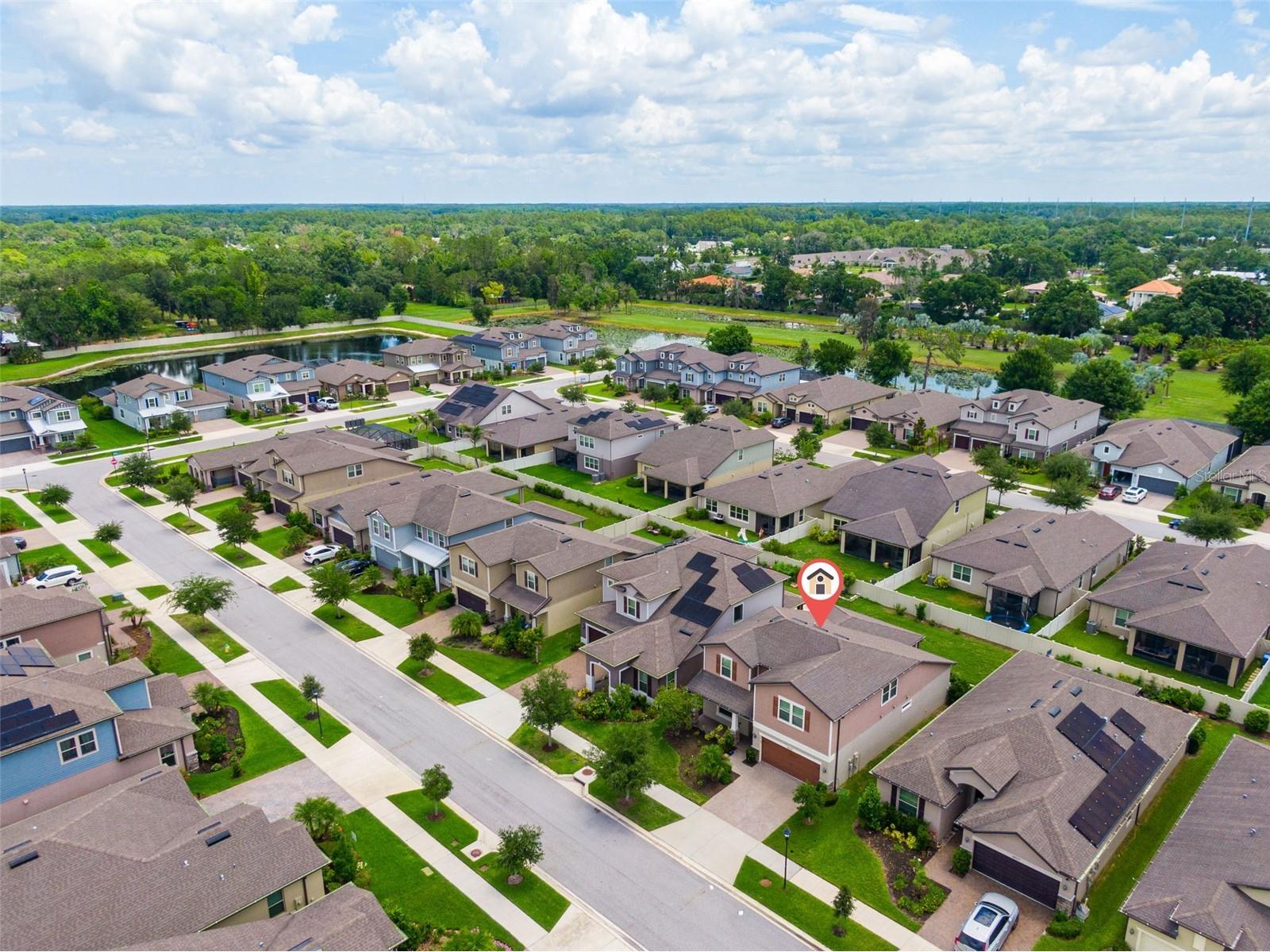 18929 Birchwood Groves Drive Lutz FL 33558 TB8510102 image33