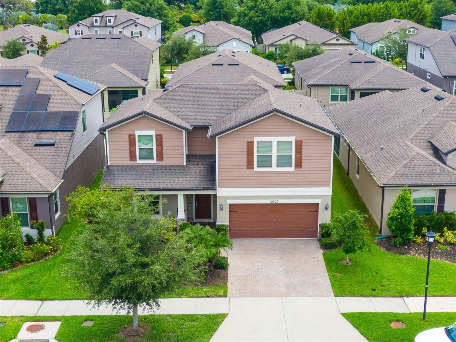 18929 Birchwood Groves Drive Lutz FL 33558 TB8510102 image4