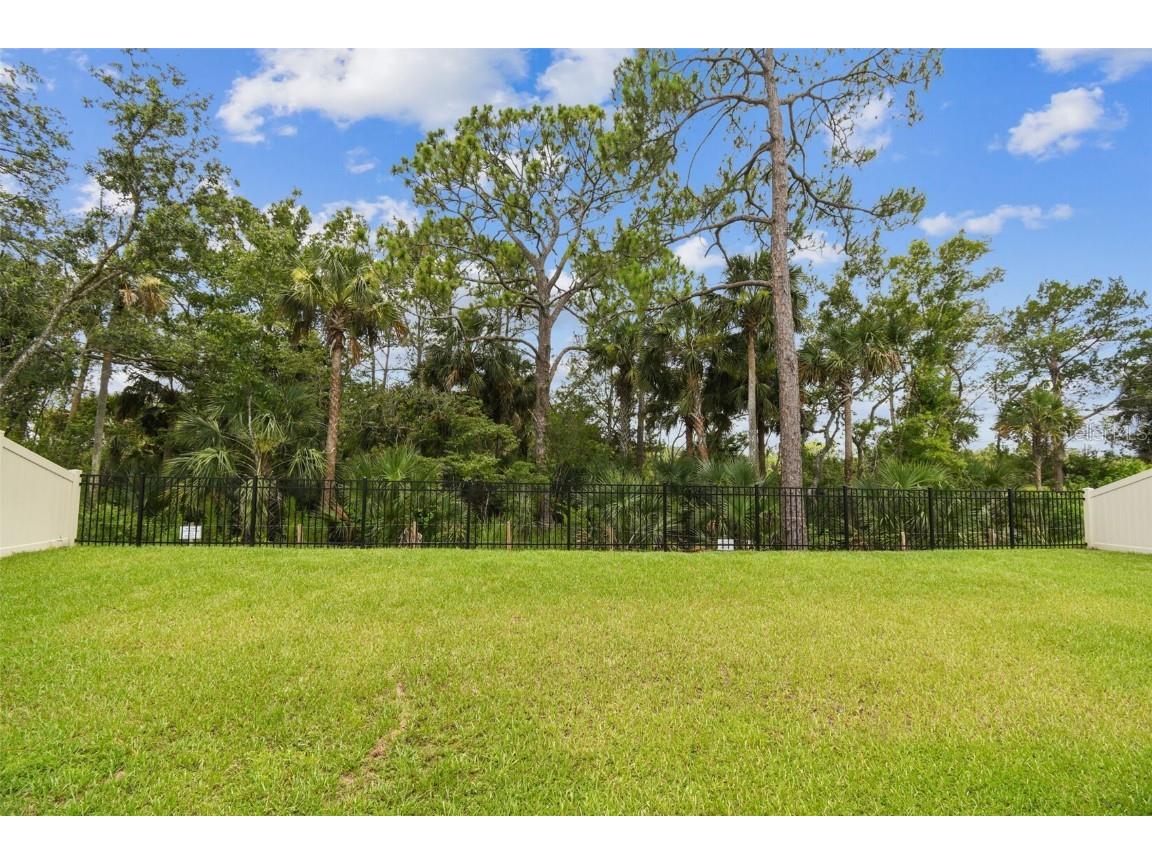 1893 Corvina Way Titusville FL 32780 O6335818 image41