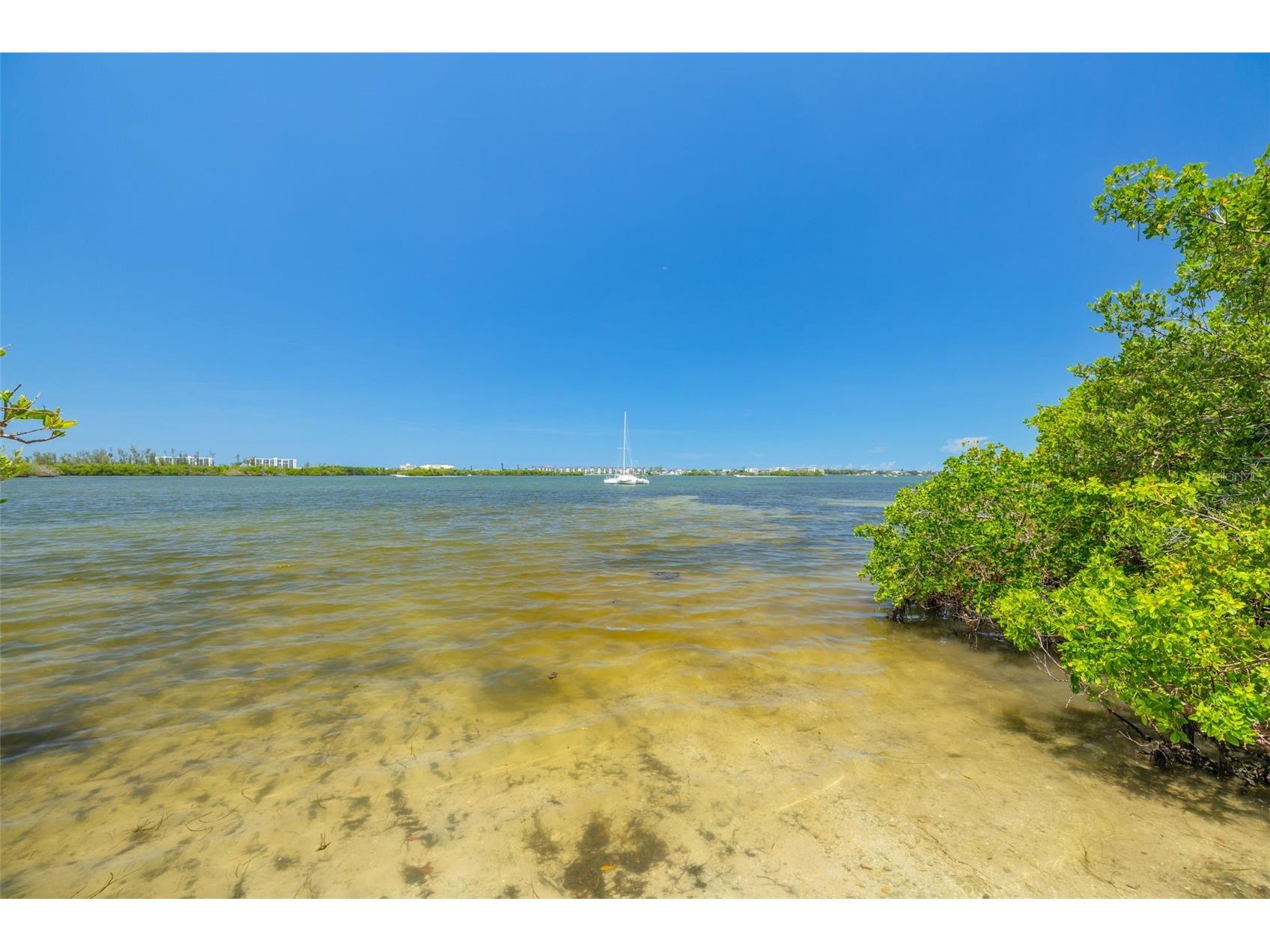 1893 Rita Street Sarasota FL 34231 A4698549 image36