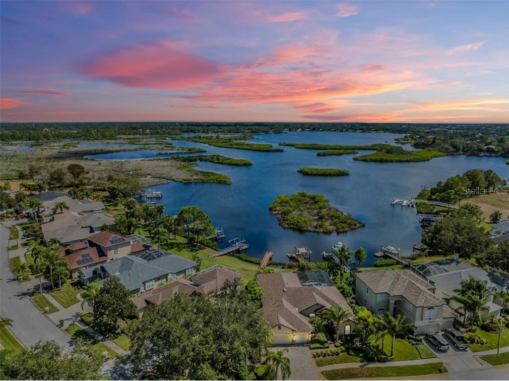 1893 Riveredge Drive Tarpon Springs FL 34689 - ANCLOTE RIVER U8214782 image1