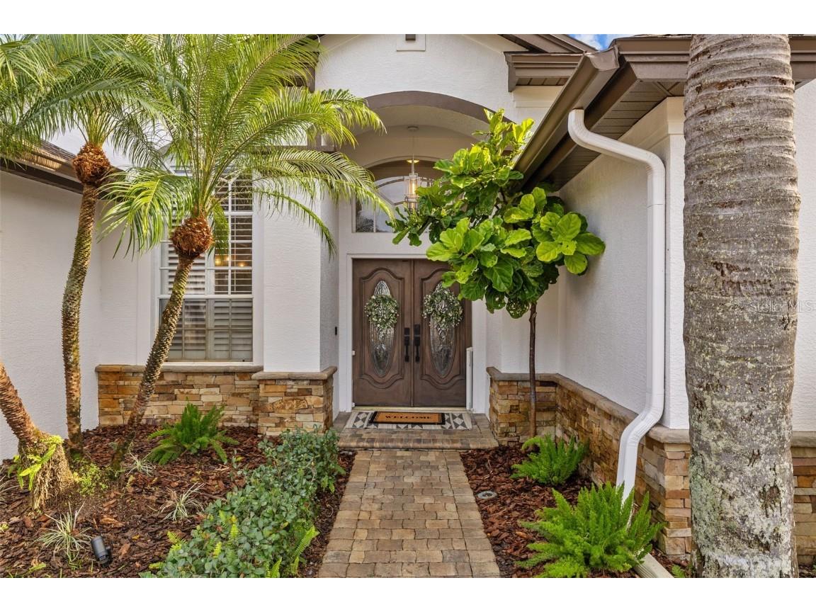 1893 Riveredge Drive Tarpon Springs FL 34689 - ANCALOTE RIVER TB8345104 image4