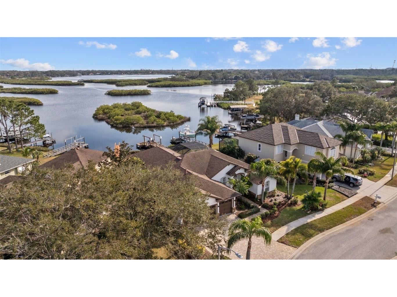 1893 Riveredge Drive Tarpon Springs FL 34689 - ANCALOTE RIVER TB8345104 image61