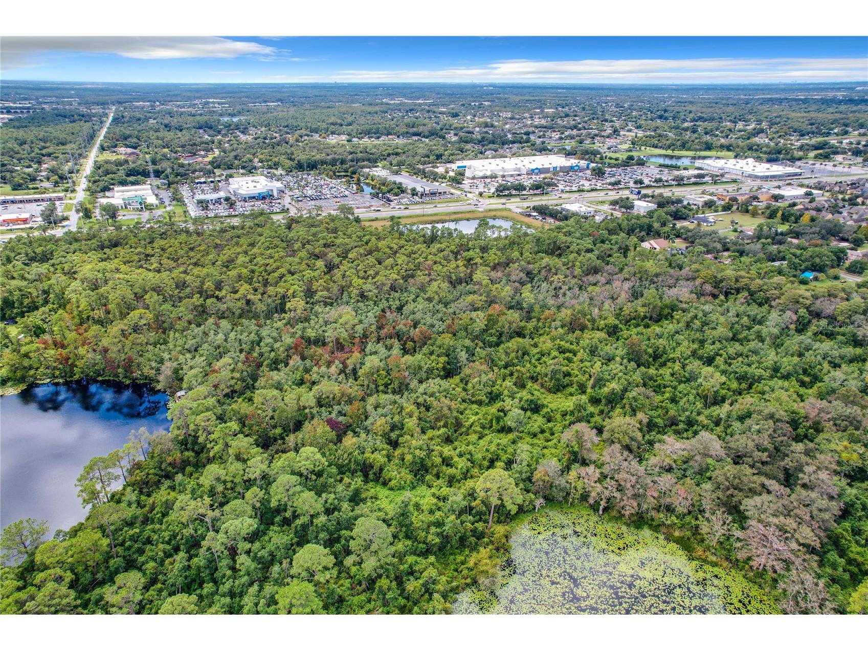 1893 Rouse Lake Road Orlando FL 32817 - LAKE EMERALD O6244713 image11