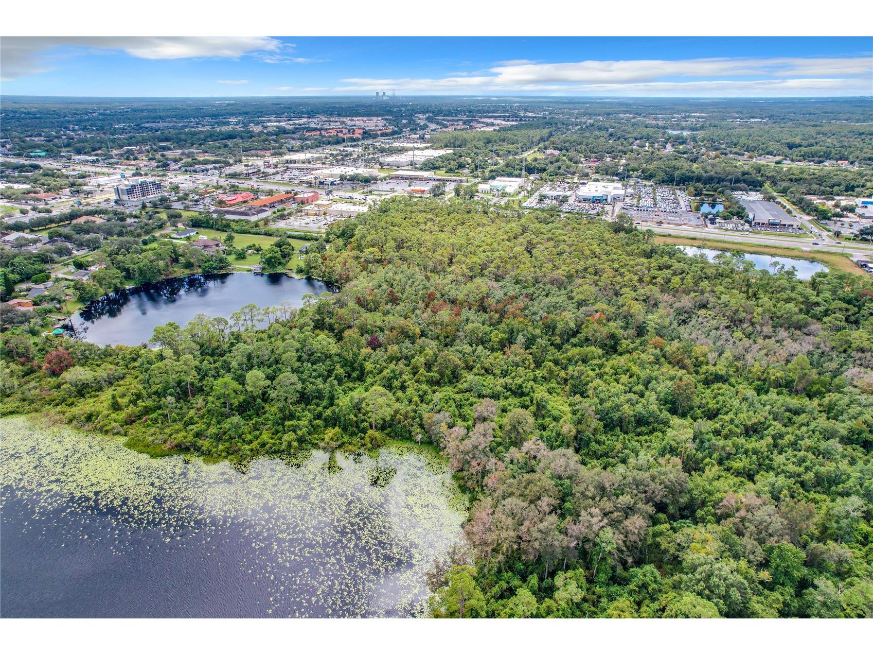 1893 Rouse Lake Road Orlando FL 32817 - LAKE EMERALD O6244713 image12