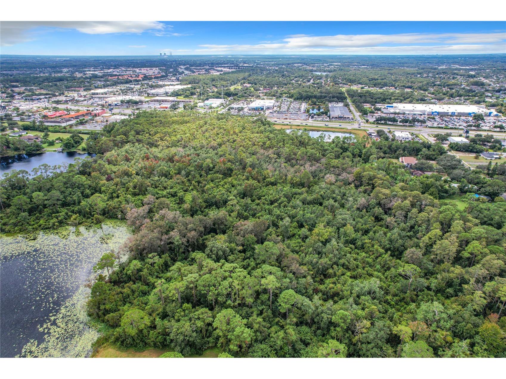 1893 Rouse Lake Road Orlando FL 32817 - LAKE EMERALD O6244713 image16