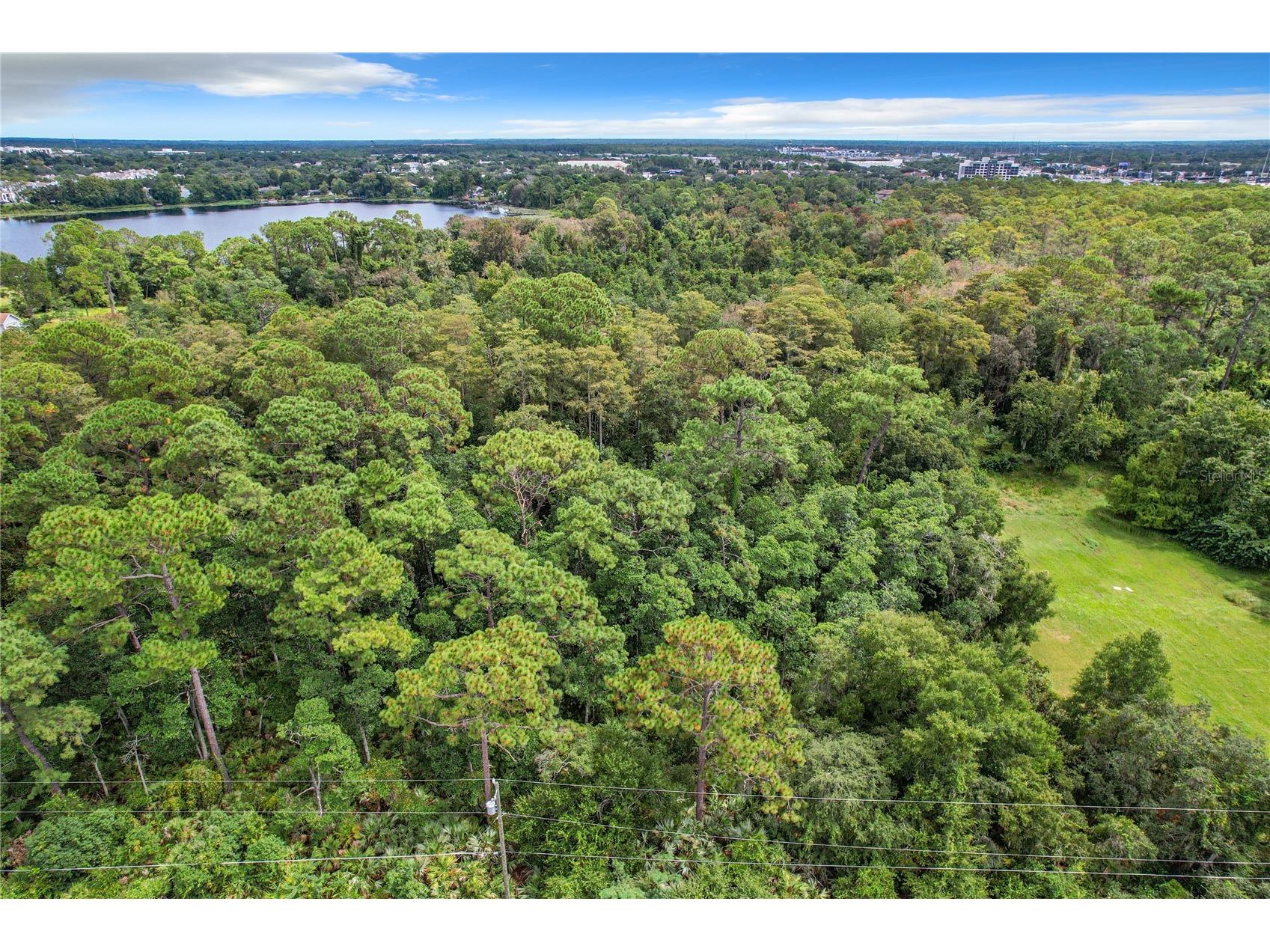 1893 Rouse Lake Road Orlando FL 32817 - LAKE EMERALD O6244713 image17