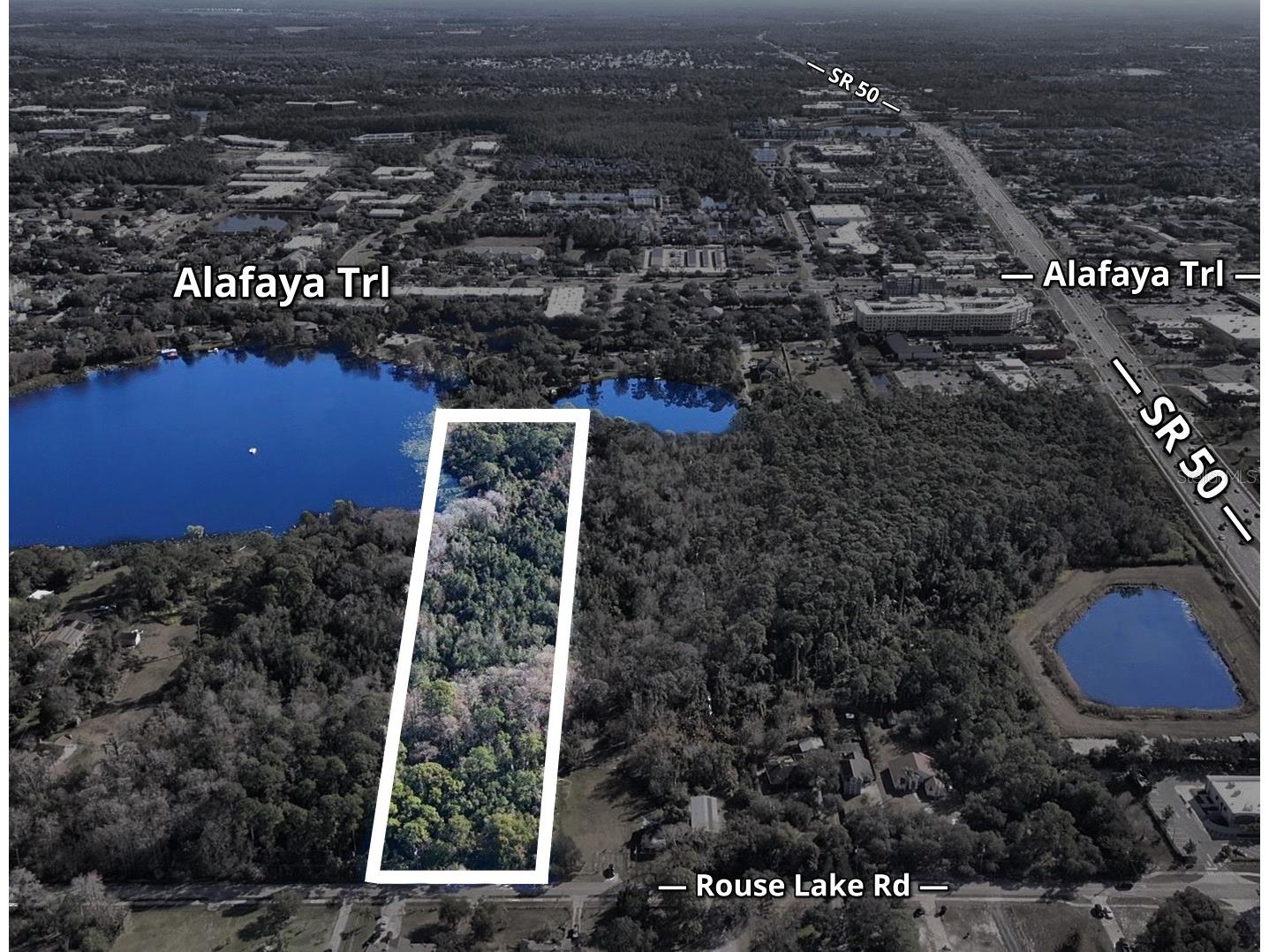 1893 Rouse Lake Road Orlando FL 32817 - LAKE EMERALD O6244713 image2