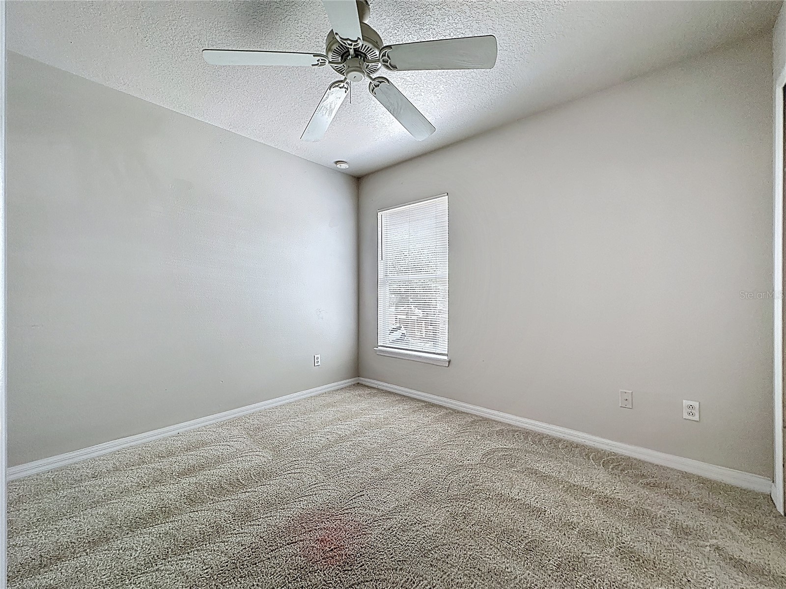 1893 Royal Ridge Drive Davenport FL 33896 S5145502 image33