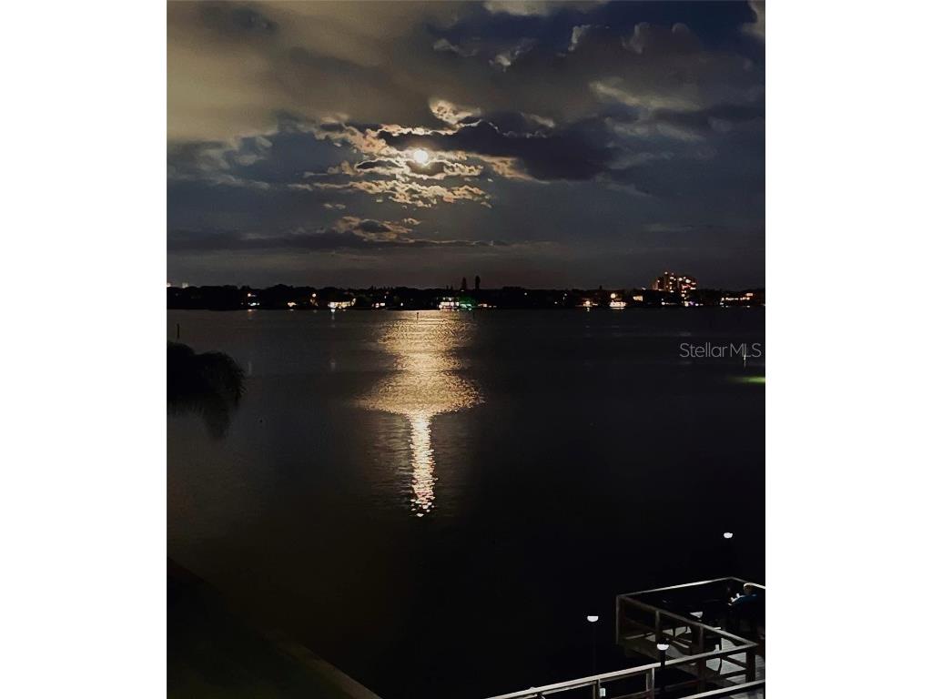 1893 Shore Drive S #209 South Pasadena FL 33707 - BOCA CIEGA BAY TB8410010 image17