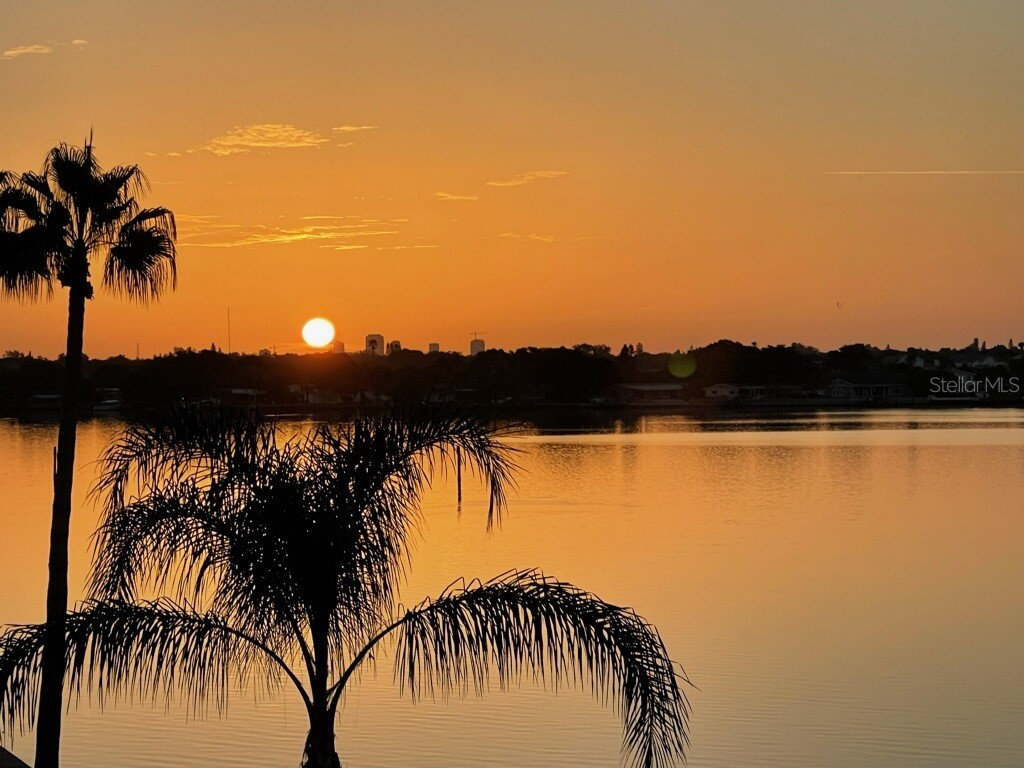 1893 Shore Drive S #209 South Pasadena FL 33707 - BOCA CIEGA BAY TB8410010 image19