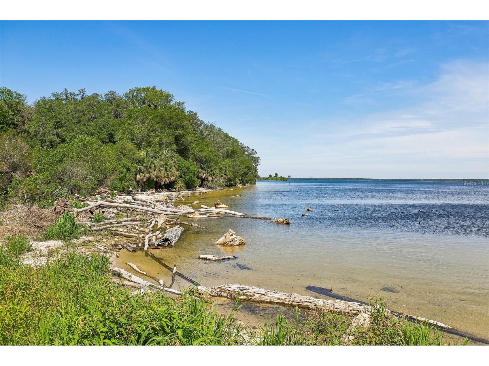 18930 NE 143rd Avenue Fort Mc Coy FL 32134 O6407708 image30