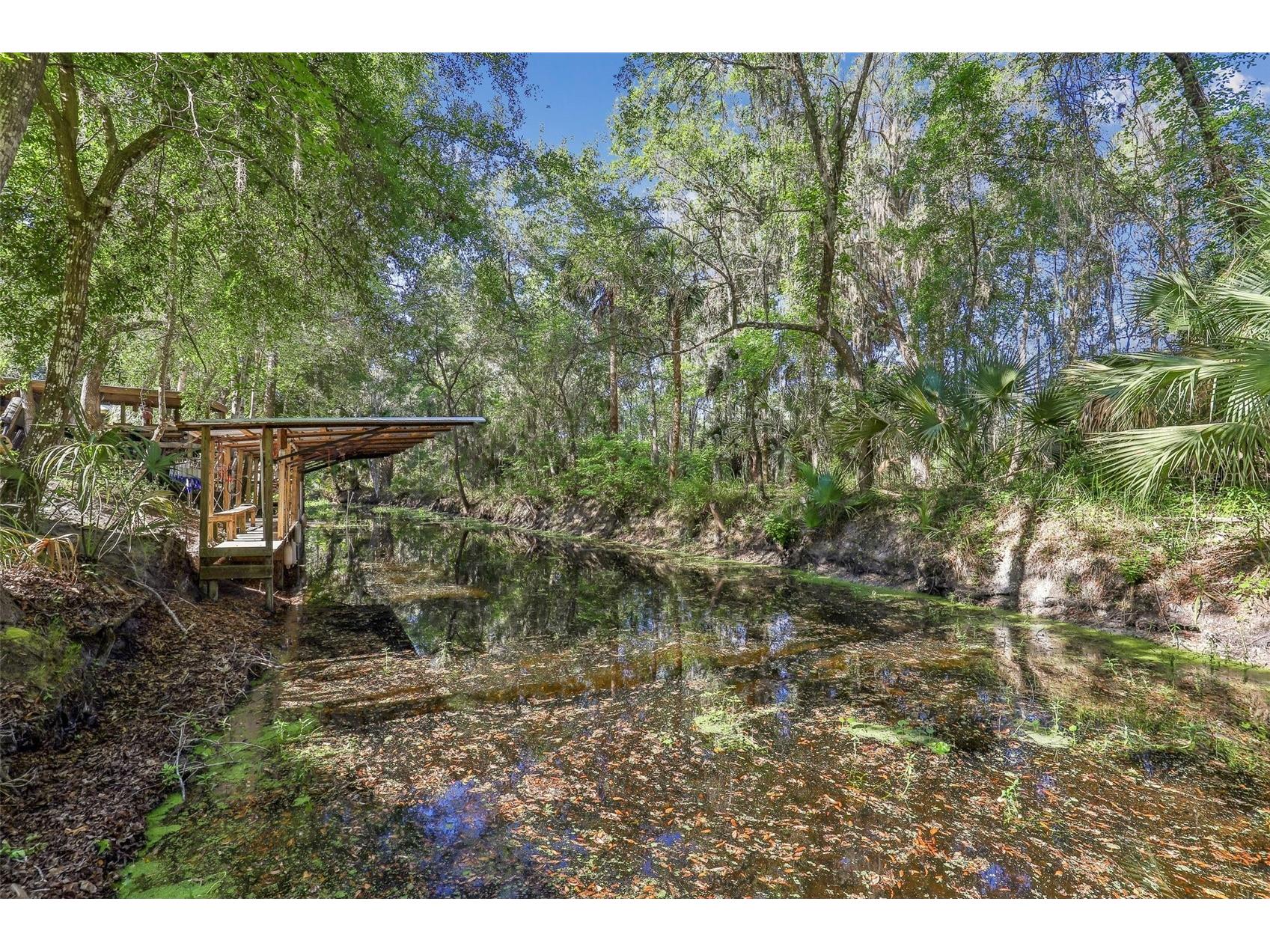 18930 NE 143rd Avenue Fort Mc Coy FL 32134 O6407708 image31