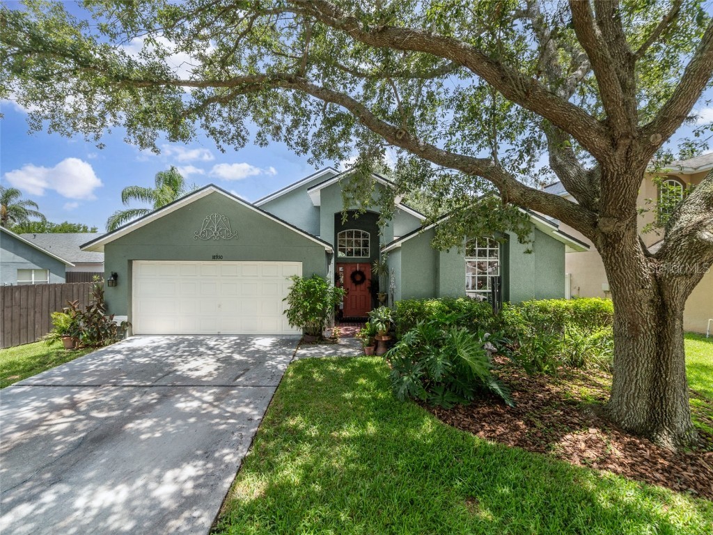 18930 Wood Sage Drive Tampa FL 33647 TB8397181 image1