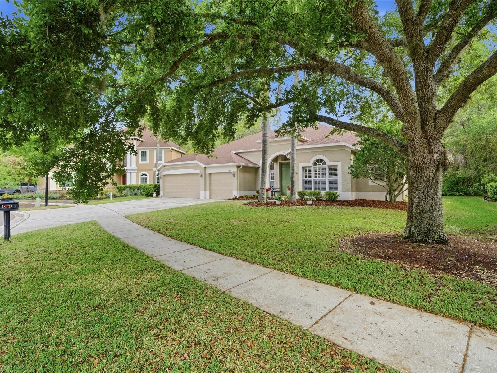 18931 Chaville Road Lutz FL 33558 TB8491376 image3