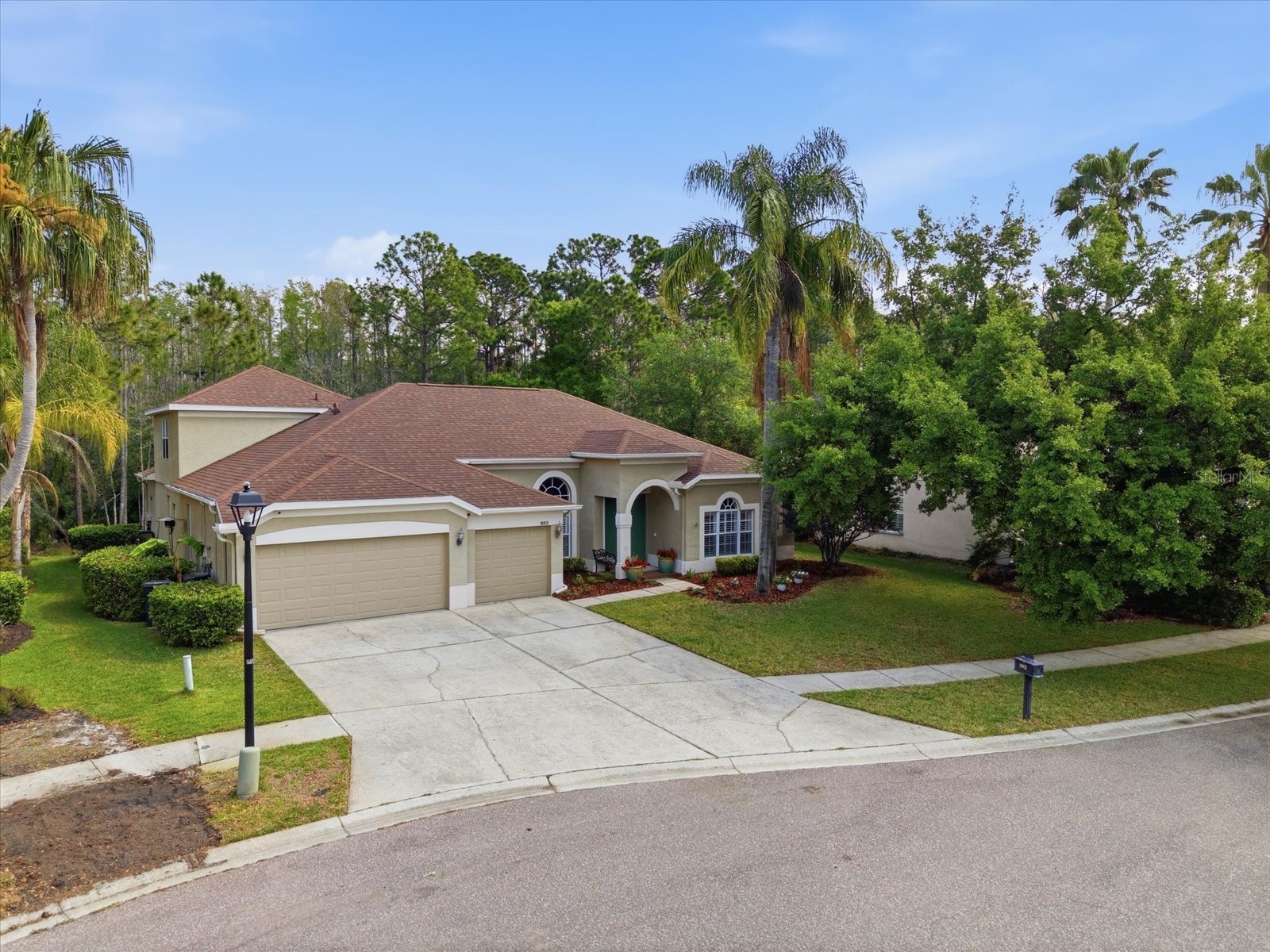 18931 Chaville Road Lutz FL 33558 TB8491376 image4