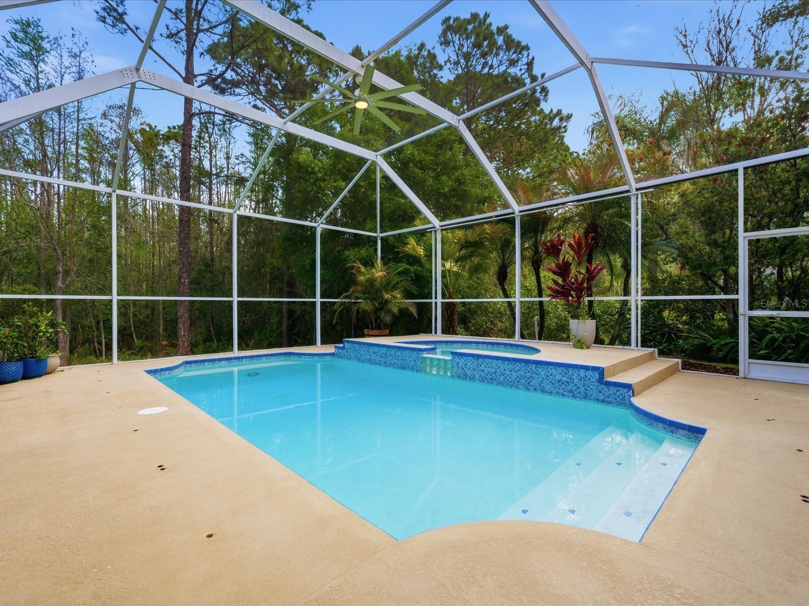 18931 Chaville Road Lutz FL 33558 TB8491376 image59