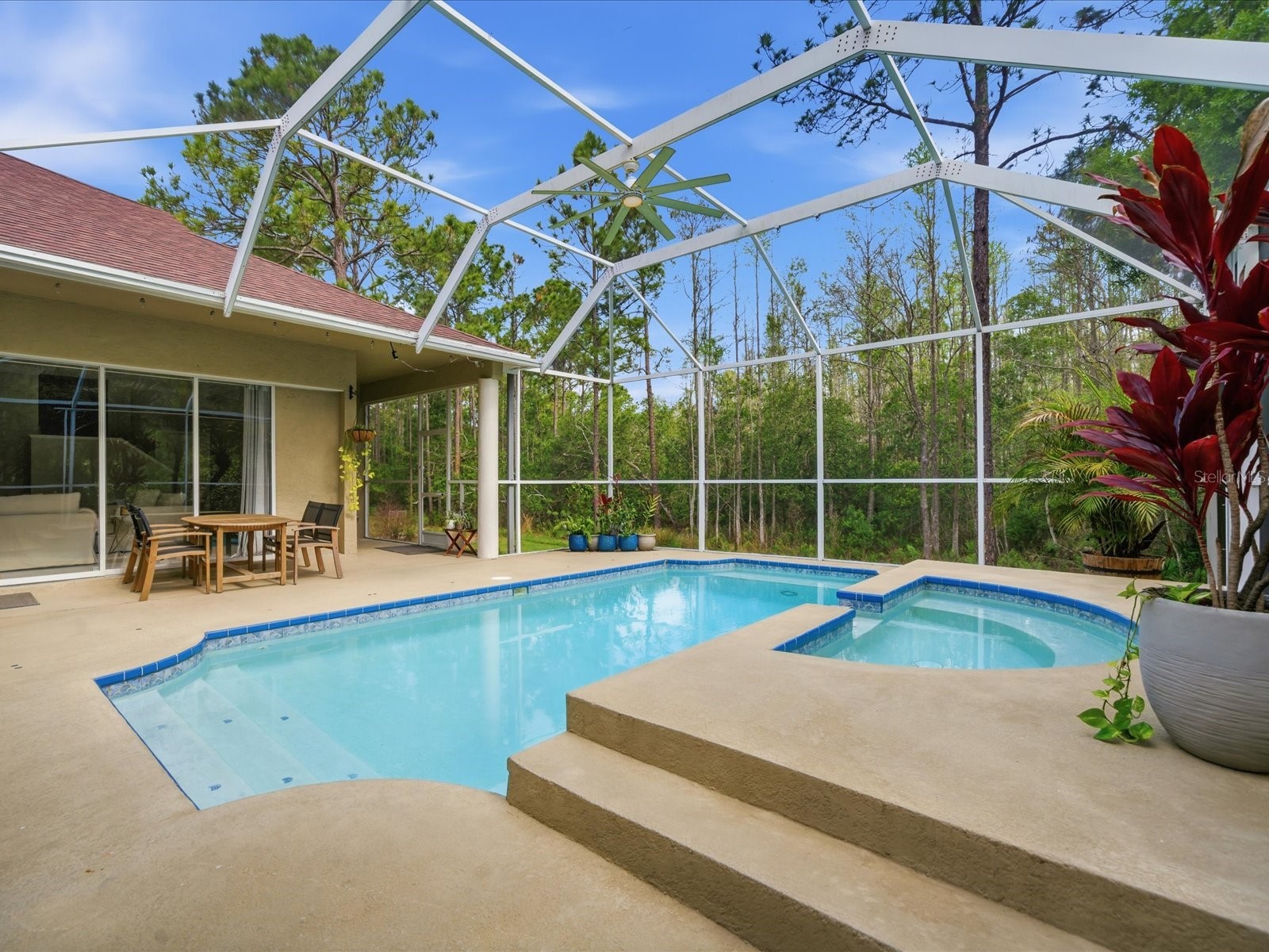 18931 Chaville Road Lutz FL 33558 TB8491376 image60