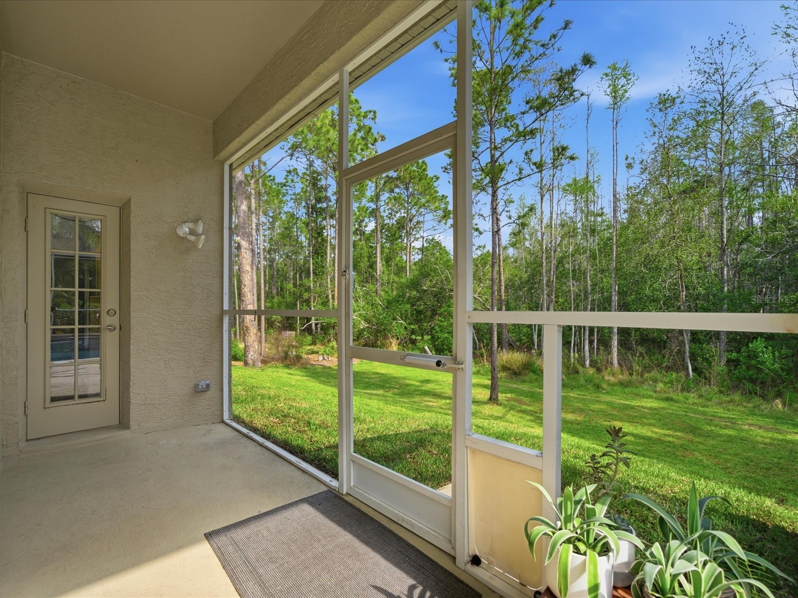 18931 Chaville Road Lutz FL 33558 TB8491376 image61
