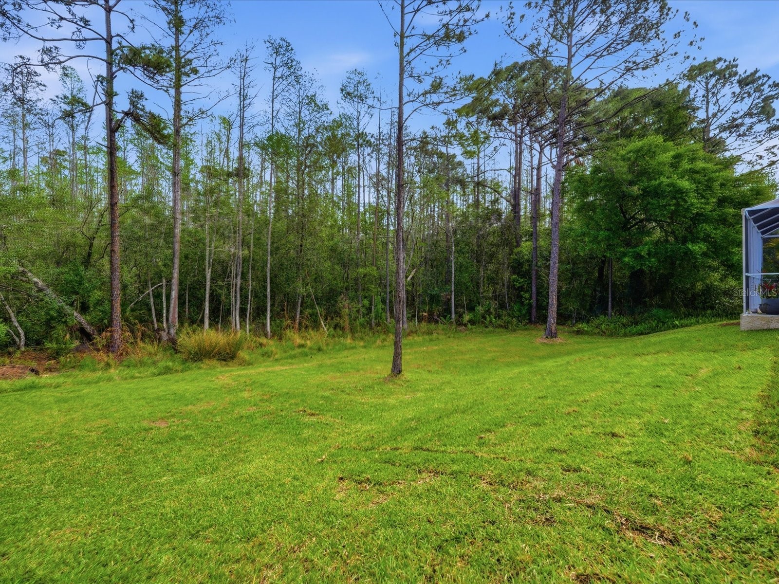 18931 Chaville Road Lutz FL 33558 TB8491376 image64