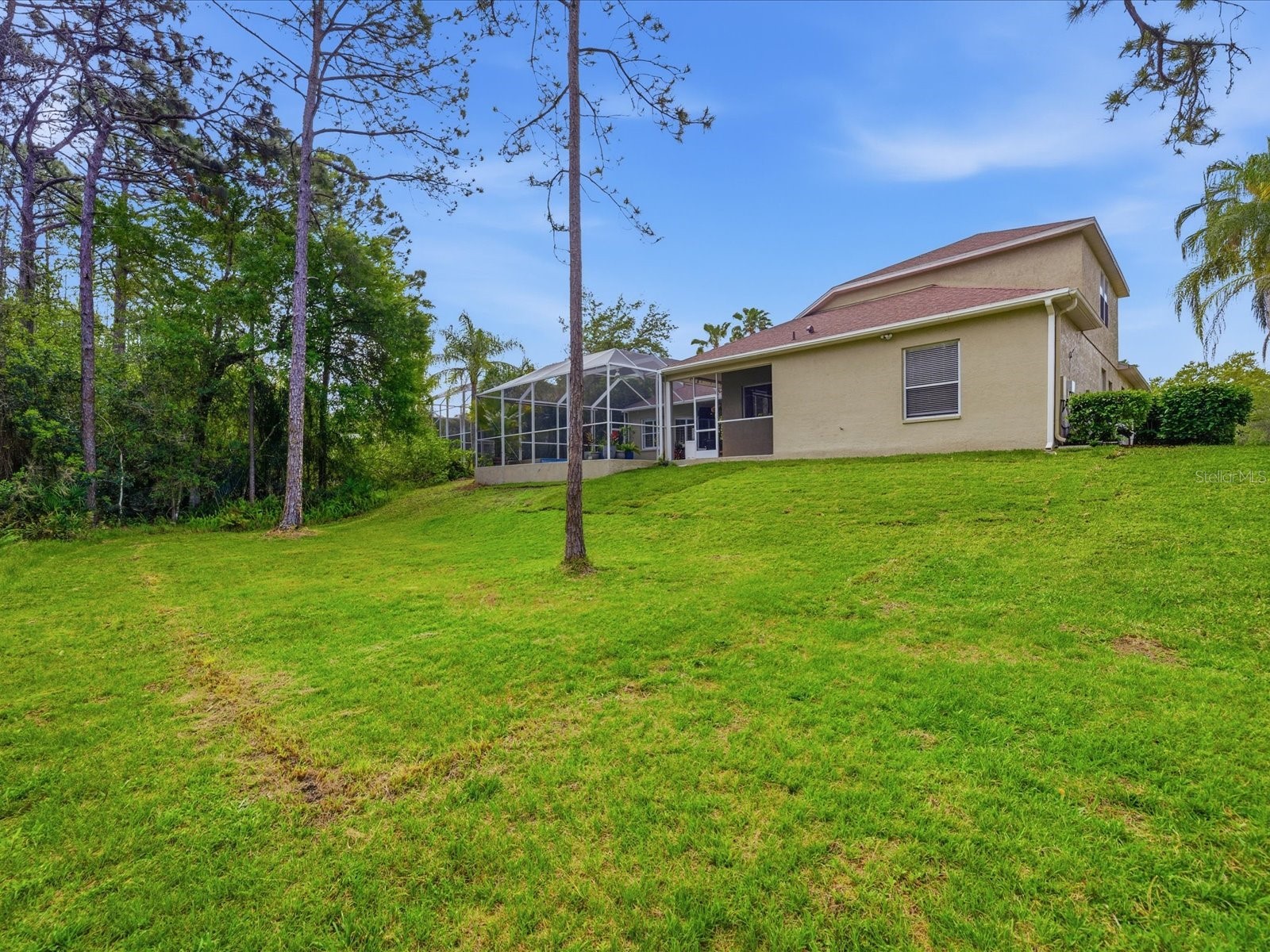 18931 Chaville Road Lutz FL 33558 TB8491376 image65