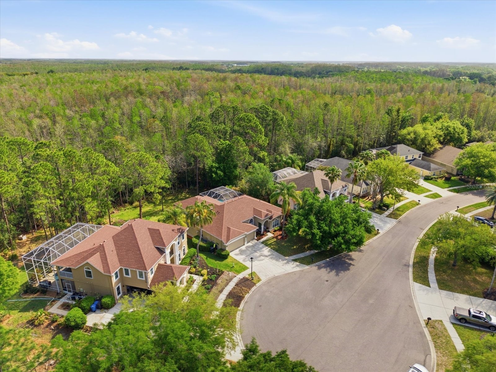 18931 Chaville Road Lutz FL 33558 TB8491376 image67