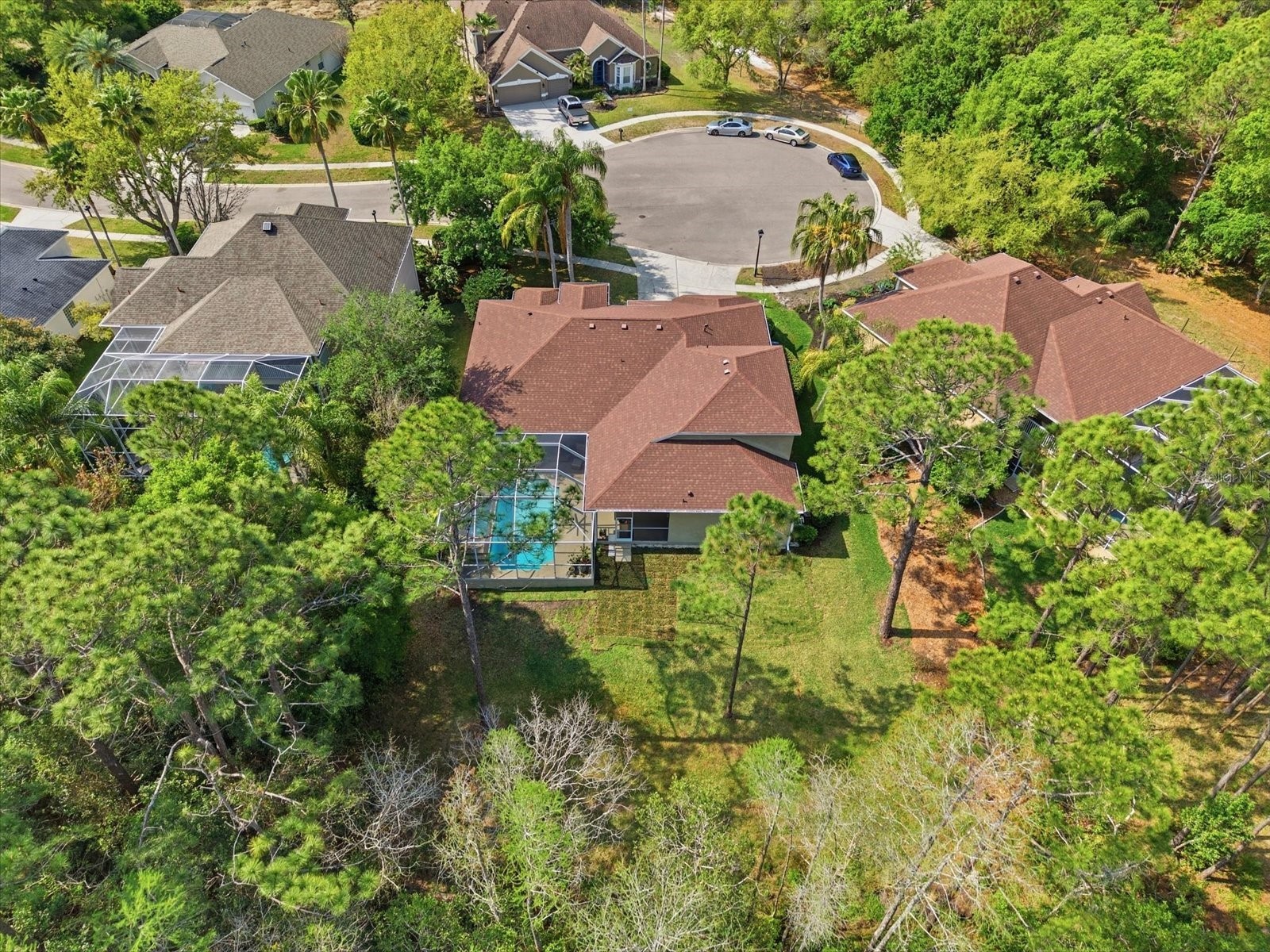 18931 Chaville Road Lutz FL 33558 TB8491376 image68