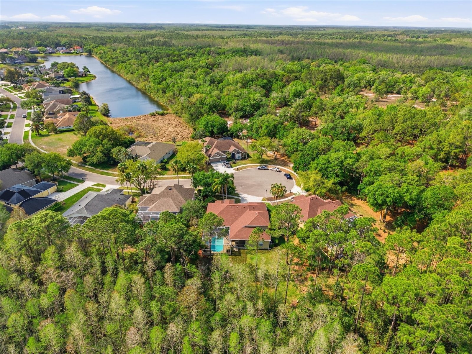 18931 Chaville Road Lutz FL 33558 TB8491376 image69