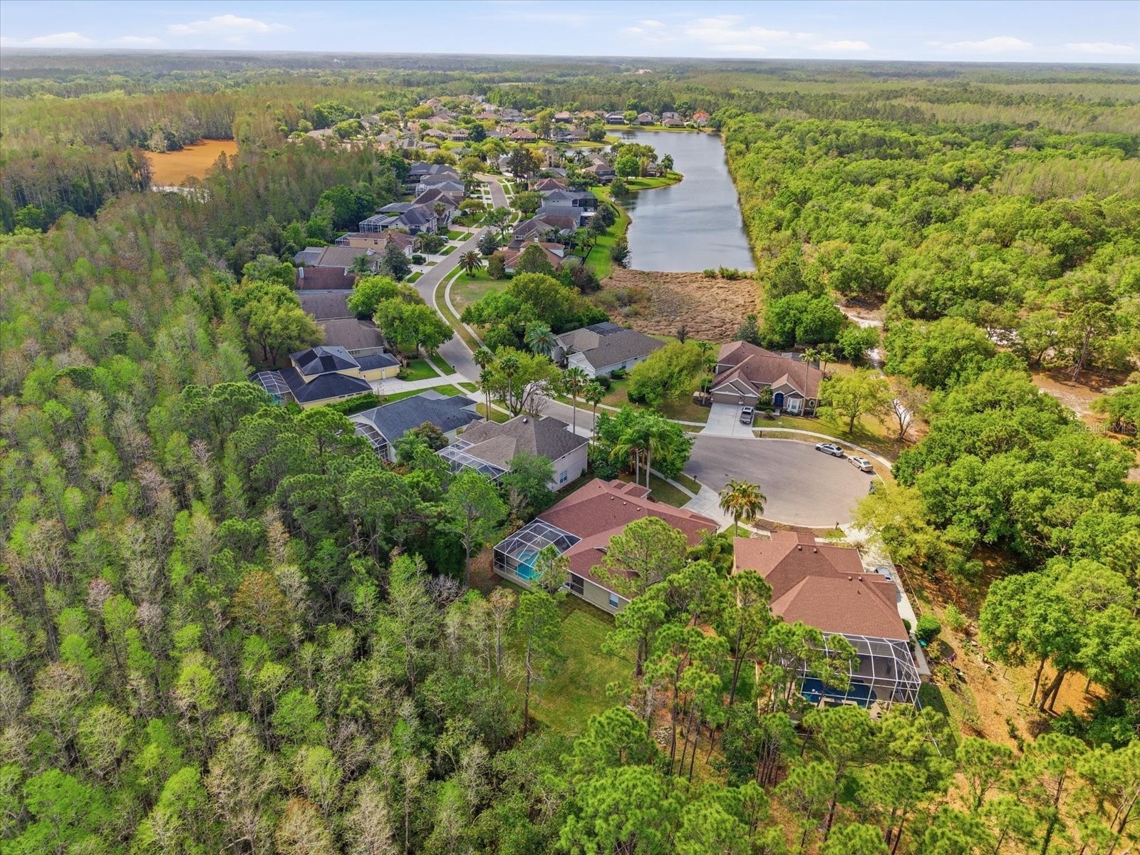 18931 Chaville Road Lutz FL 33558 TB8491376 image70